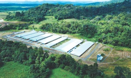 Mavin được vinh danh Top 10 Doanh nghiệp ESG Việt Nam Xanh 2025