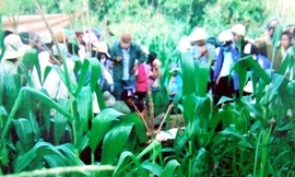 Ly kỳ vụ em trai tố anh giết bố