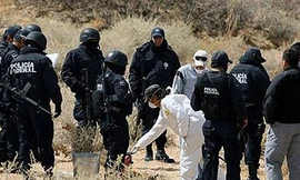 Mexico: Bắt kẻ giết 79 người