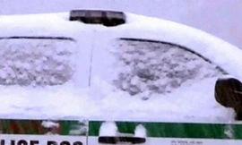 Chó suýt bắn chết cảnh sát