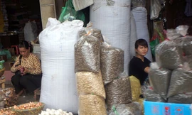 Truy chất độc trong hạt hướng dương