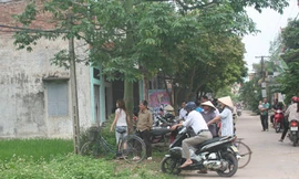 Chấm dứt hoạt động mê tín về 'thần rắn'