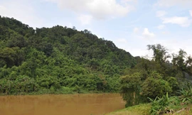 Vi phạm luật thì phải dừng dự án