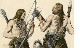 Loài người thời đồ đá mới ăn gì?