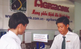 Cán bộ ngân hàng trả lại 1 tỷ tiền thừa