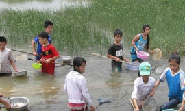 Học sinh đổ xô đi bắt rươi