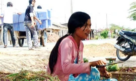 Nhiều người trồng hành tím bị mù mắt