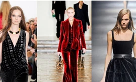 Đa phong cách với nhung