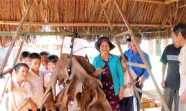 Củ khoai mỡ nặng... gần 60 Kg