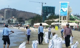 Gom thêm 6 tấn dầu vón cục ở Bãi Sau