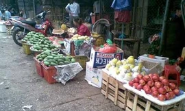 Rau quả thải loại thành hàng… quê