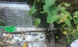 Nước thải màu trắng đục Cty Đức Thiện xả ra môi trường 