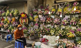 Các chủ cửa hàng hoa tại Hà Nội thiệt hại nặng trong dịp 8/3 vì dịch Covid - 19.