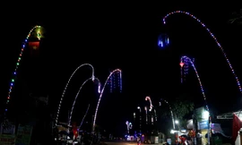 Lung linh sắc nêu đón Tết trên khắp đường làng, ngõ xóm ở Nghệ An