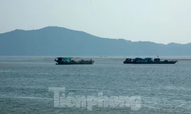 Theo ước tính của người dân việc khai thác cát khiến nước biển đã ăn sâu vào bờ 40-50m, chiều dài khoảng 3km