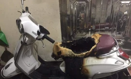 Chiếc xe máy bị cháy gần hết phần yên
