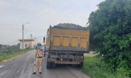 Xe quá tải hoạt động trên đê sông Hồng đoạn qua huyện Thường Tín bị cơ quan chức năng xử phạt