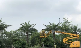 Công nhân đang tiến hành cắt cỏ tại khu A14A2 đường Mạc Thái Tổ, phường Yên Hòa.