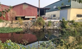 Hàng loạt nhà xưởng không phép ‘mọc’ trên đất nông nghiệp ở Bắc Ninh