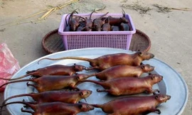 Ngay Hà Nội: Cỗ sang phải có thịt chuột