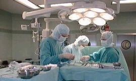 Tái tạo 'của quý'