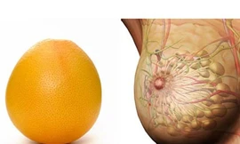 Vì sao ăn bưởi bổ vòng một?