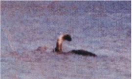 Những 'họ hàng' của quái vật hồ Loch Ness