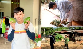 Nghỉ dịch, nhiều bạn trẻ về quê làm nông chăm vườn phụ giúp bố mẹ