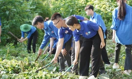 Sôi nổi các hoạt động mở màn của Chiến dịch Mùa hè xanh tại Tuyên Quang