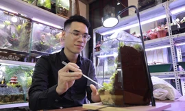 Giới trẻ đam mê thú chơi mới độc đáo tiểu cảnh trong bình 