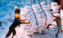 Xuất khẩu gạo đang giảm mạnh