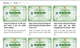 Tập đoàn APEC bị xử phạt 600 triệu đồng vì phát hành trái phiếu "chui".