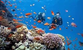 Du lịch sôi động trở lại sau 3 năm COVID-19.