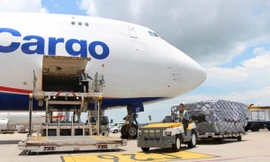 Kiến nghị trình Thủ tướng xem xét cấp phép cho hãng bay chở hàng IPP Air Cargo 