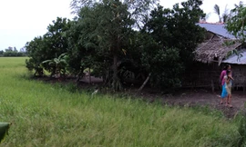 Chống án, một phụ nữ ba lần vào tù