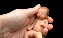 Bùng nổ thiệp Giáng sinh phi tôn giáo