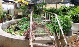 Hồ nước nơi phát hiện thi thể