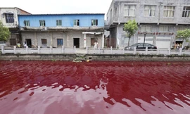 Hãi hùng khi nước sông bỗng nhiên chuyền sang màu máu