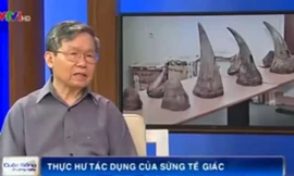 Sừng tê giác có những tác dụng gì?