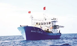 Những ngư phủ đa năng