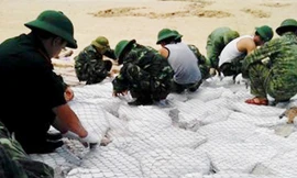 Cô Tô dùng lưới bọc nhà chờ bão Thần Sấm