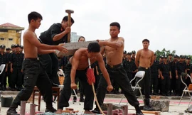 Xem đặc nhiệm Việt Nam dũng mãnh luyện công 