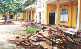 Trần phòng học mục nát vừa gỡ xuống. Ảnh: Sáu Nghệ