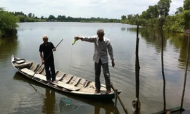 Nông dân ấp Chủ Chọt thu nhiều trăm triệu một năm. Ảnh: Sáu Nghệ