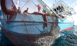 Qúa tải chỉ tiêu đăng ký tàu vỏ thép: Công khai hồ sơ đóng tàu mới