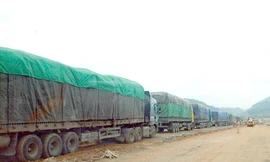 Hàng loạt đối tượng bảo kê xe quá tải sa lưới