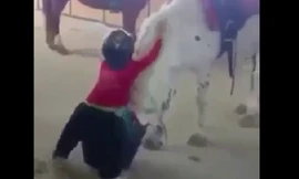 Cậu nhóc leo lên lưng ngựa bá đạo