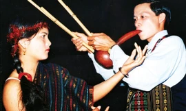  Vũ điệu kết đôi. ảnh: HHN