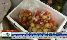 Trái cây không rõ nguồn gốc, gắn mác Việt bán tại sân bay