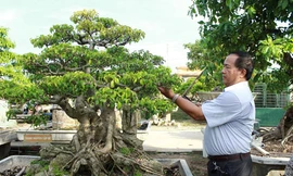 Vườn cây ‘để đời’ của trung tướng về hưu xứ Nghệ